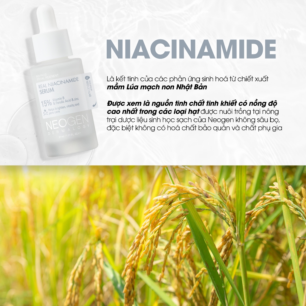 Tinh chất Niacinamide 15% Kiềm Dầu Giảm Mụn Dưỡng Sáng Da Neogen Dermalogy Real Firming 30ML - Ảnh 6